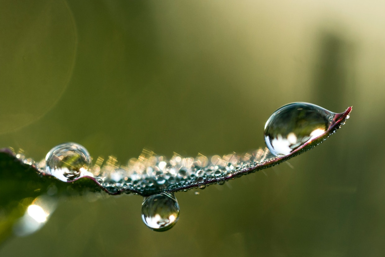 bee-common-widget-bar.row-alt