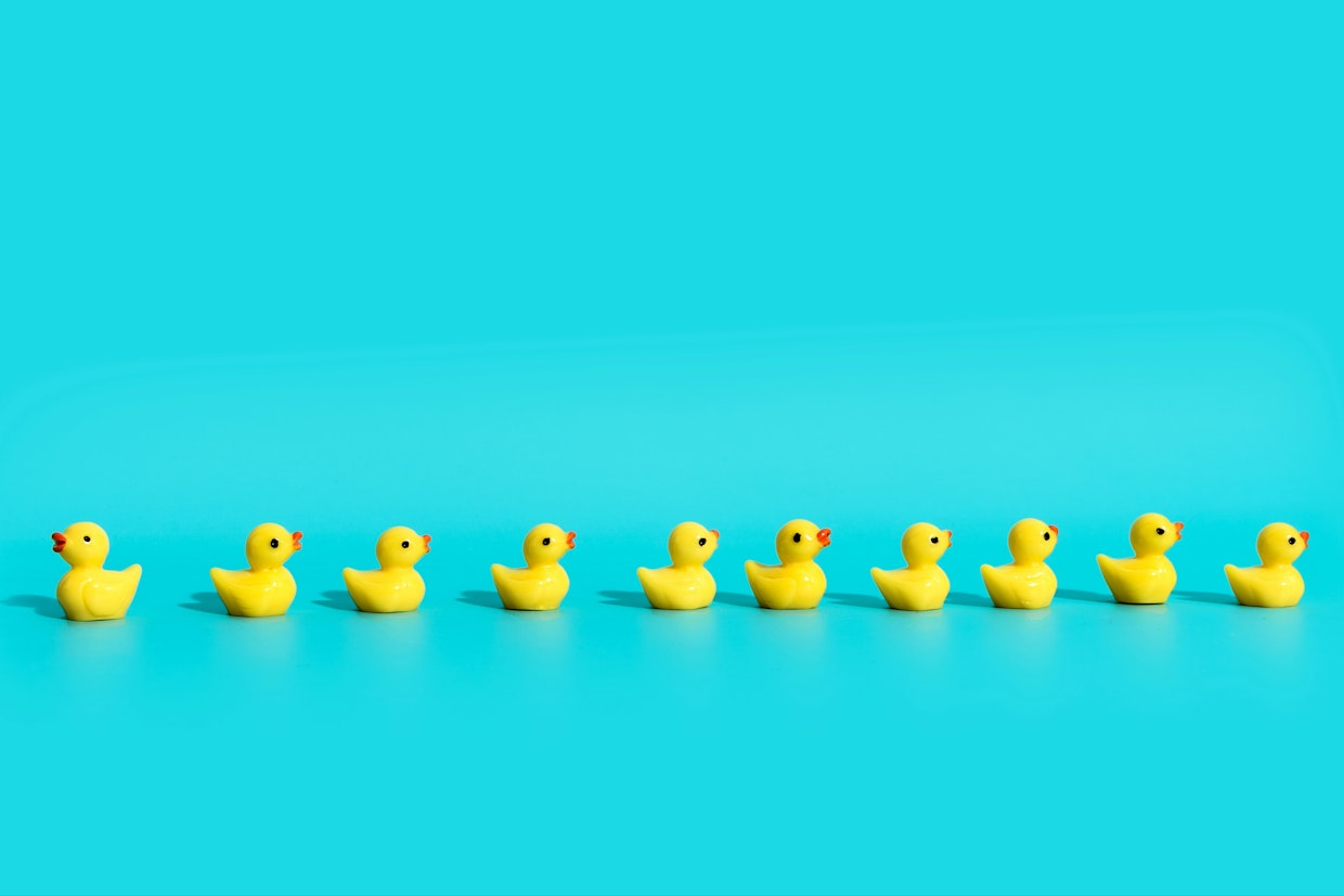 bee-common-widget-bar.row-alt