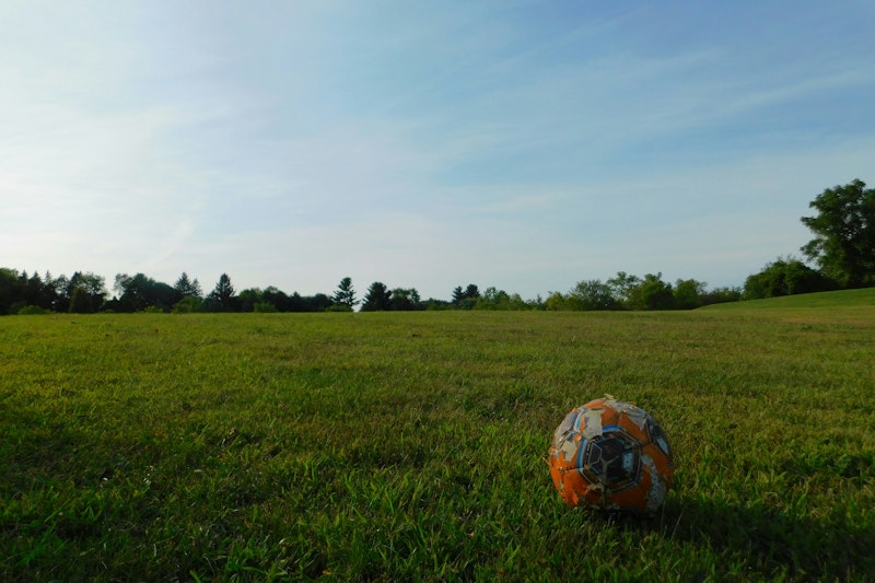 bee-common-widget-bar.row-alt